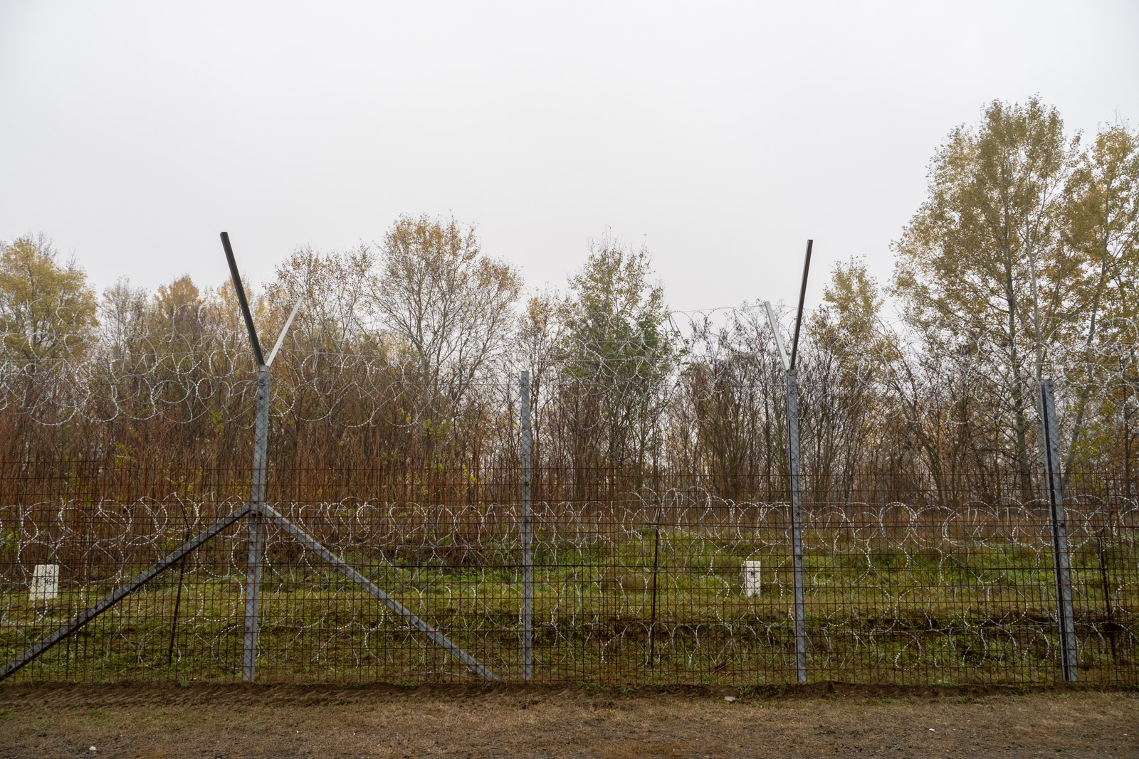 The main border fence close to Röszke